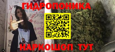 гидропоника Лесосибирск