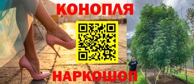 стаф Ливны