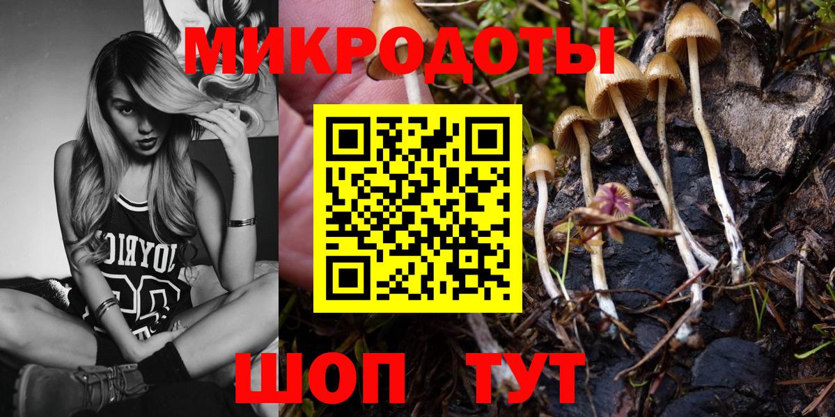 Псилоцибиновые грибы Psilocybe  Галлюциногенные грибы ЛСД  Южно-Сахалинск  Вход с VPN 